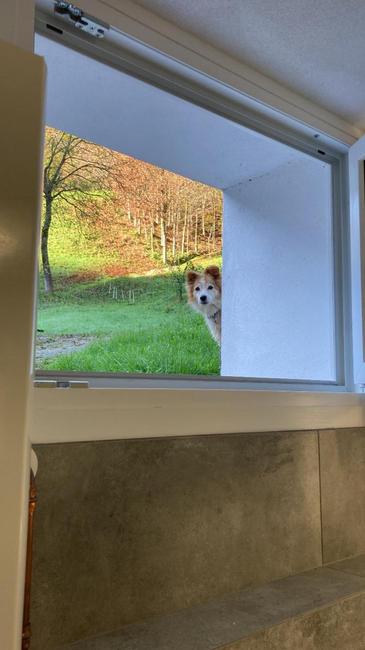 Cascina Uertigher Gorno Bagian luar foto