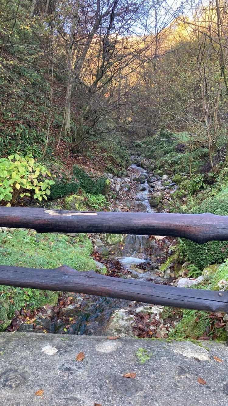 Cascina Uertigher Gorno Bagian luar foto
