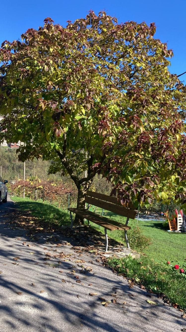 Cascina Uertigher Gorno Bagian luar foto