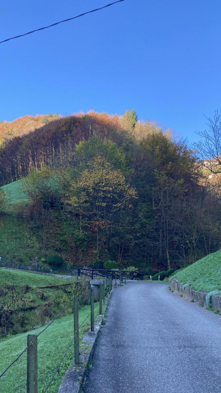 Cascina Uertigher Gorno Bagian luar foto
